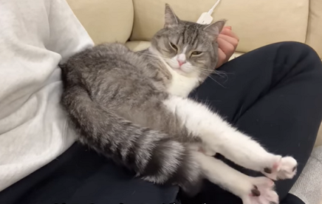 f:id:bolla:20220213231951p:plain