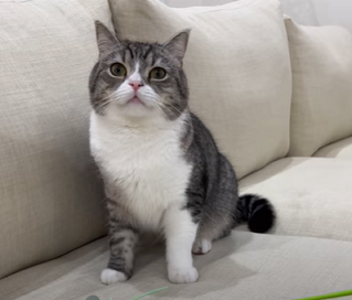 f:id:bolla:20220218000954p:plain