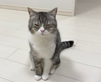 f:id:bolla:20220218222314p:plain