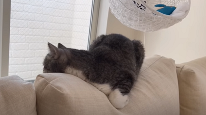 f:id:bolla:20220310022130p:plain