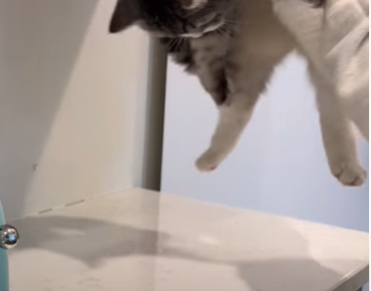 f:id:bolla:20220401031808p:plain