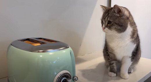 f:id:bolla:20220401032044p:plain