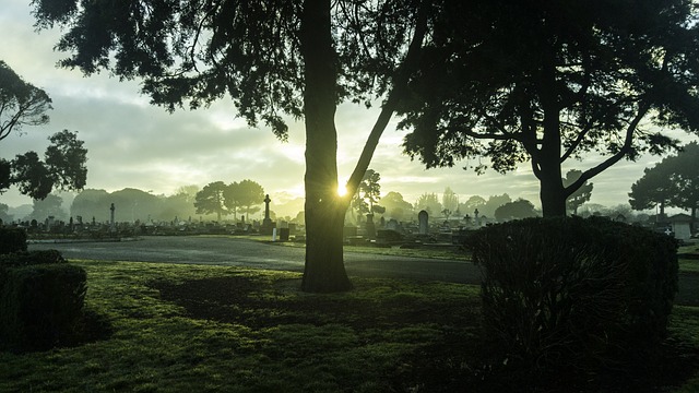 f:id:bollet:20171109200023j:plain