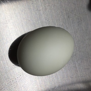 f:id:bollet:20171121173420j:plain