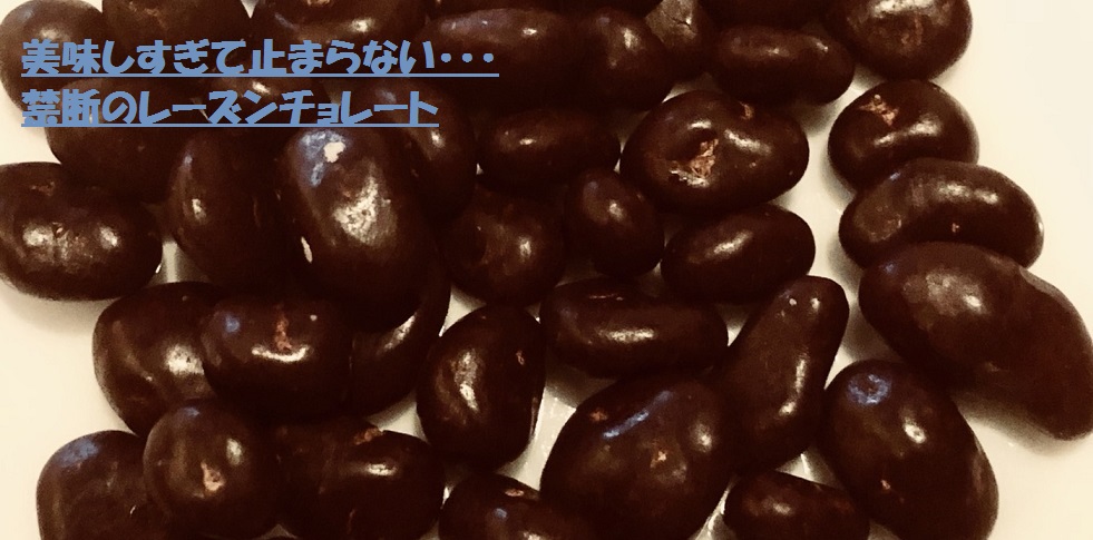 おすすめ高級レーズンチョコ レザンドレ オ ソーテルヌ 贅沢な貴腐ワイン使い おいしけりゃなんでもいい