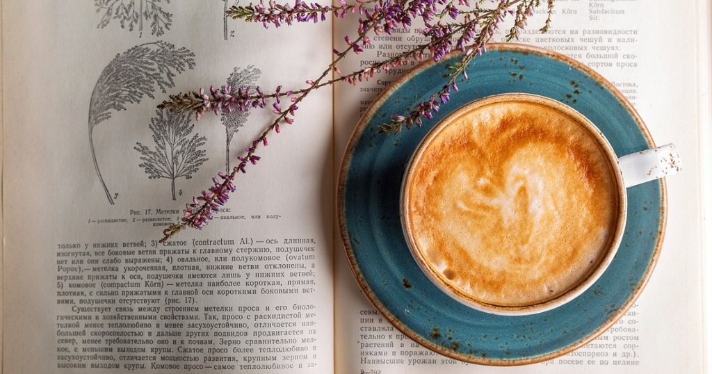 f:id:bollet:20180601160503j:plain f:id:bollet:20180601160503j:plain