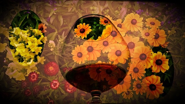 f:id:bollet:20180711184024j:plain