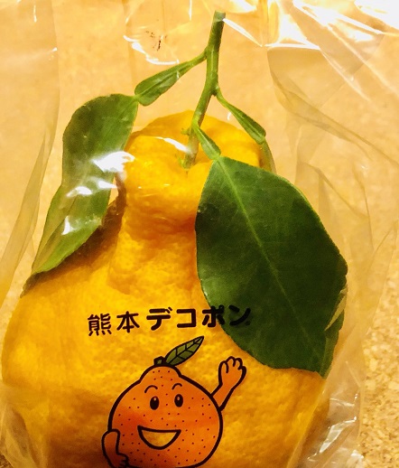 f:id:bollet:20190115203014j:plain