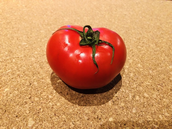 f:id:bollet:20190122194331j:plain