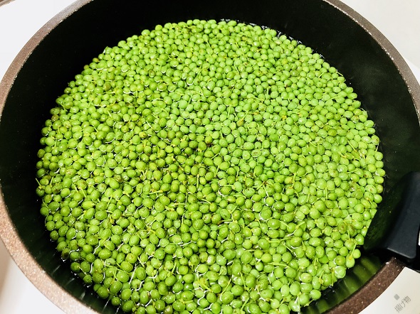 山椒の実の食べ方 下処理 保存 通販してでも旬の時期に楽しみたい鮮烈な味 おいしけりゃなんでもいい 山椒の実の食べ方 下処理 保存 通販してでも旬の時期に楽しみたい鮮烈な味 おいしけりゃなんでもいい
