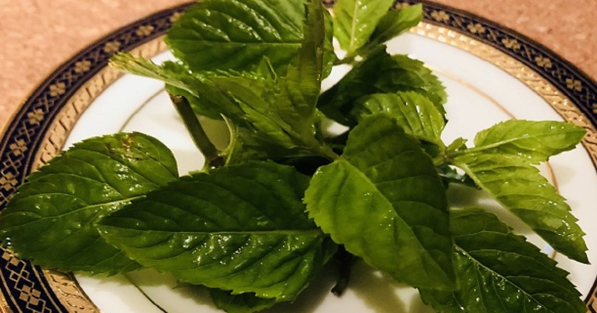 イエルバブエナ