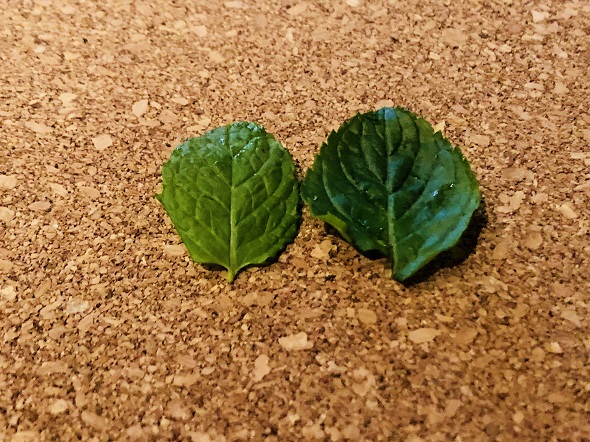 f:id:bollet:20190721044205j:plain