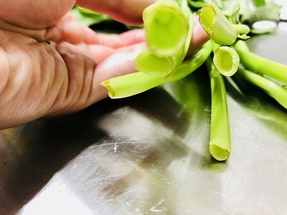 f:id:bollet:20190802052731j:plain f:id:bollet:20190802052731j:plain