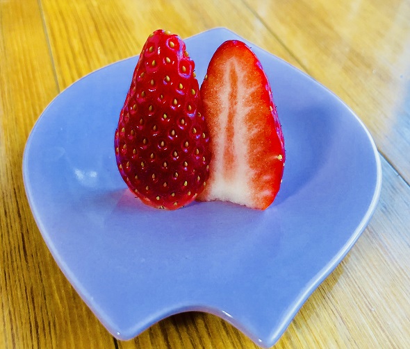 f:id:bollet:20200106162051j:plain