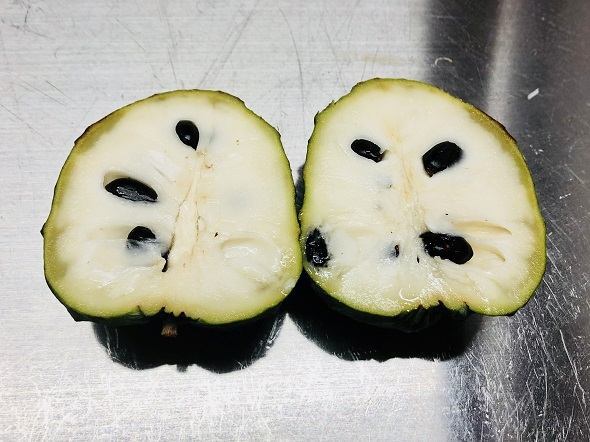 f:id:bollet:20200408191856j:plain