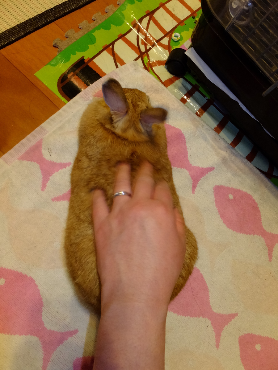 f:id:boltbay:20190703181109j:plain