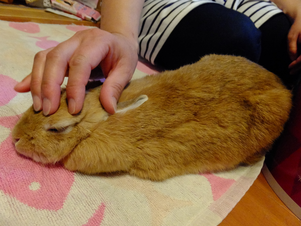 f:id:boltbay:20190703235148j:plain