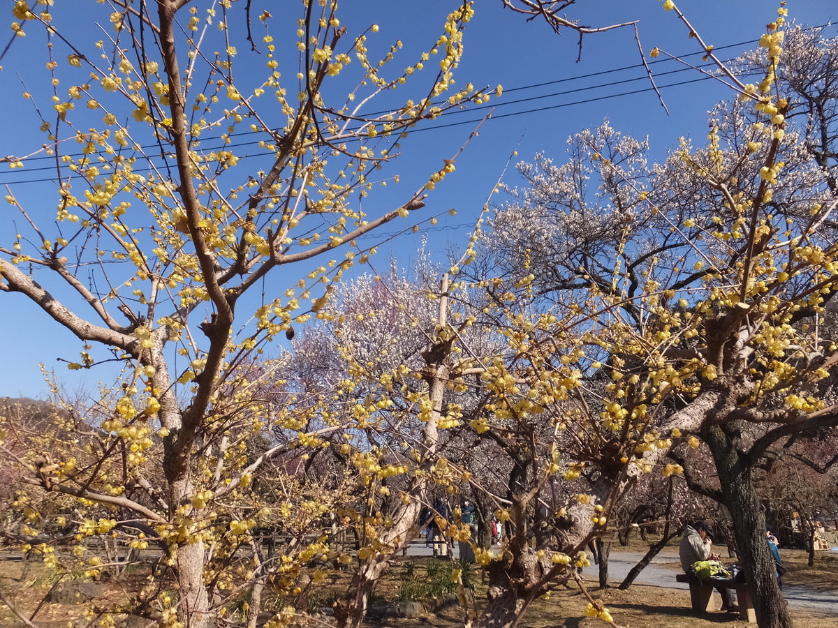 f:id:boltbay:20190813010437j:plain