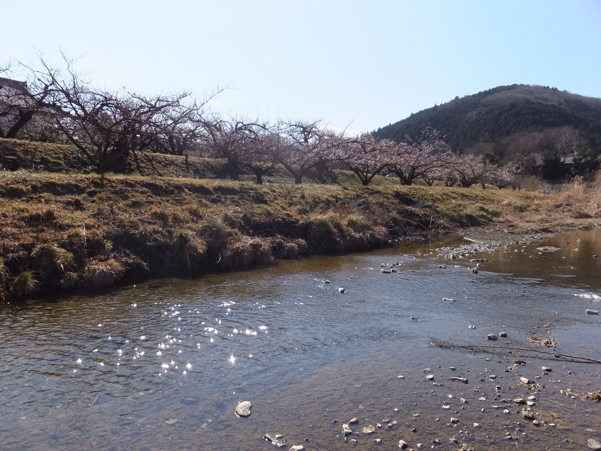 f:id:boltbay:20190813010533j:plain