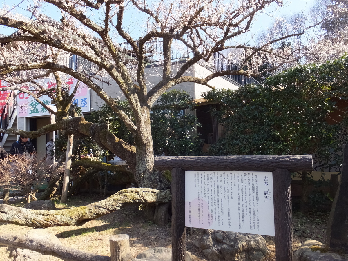 f:id:boltbay:20190813010623j:plain