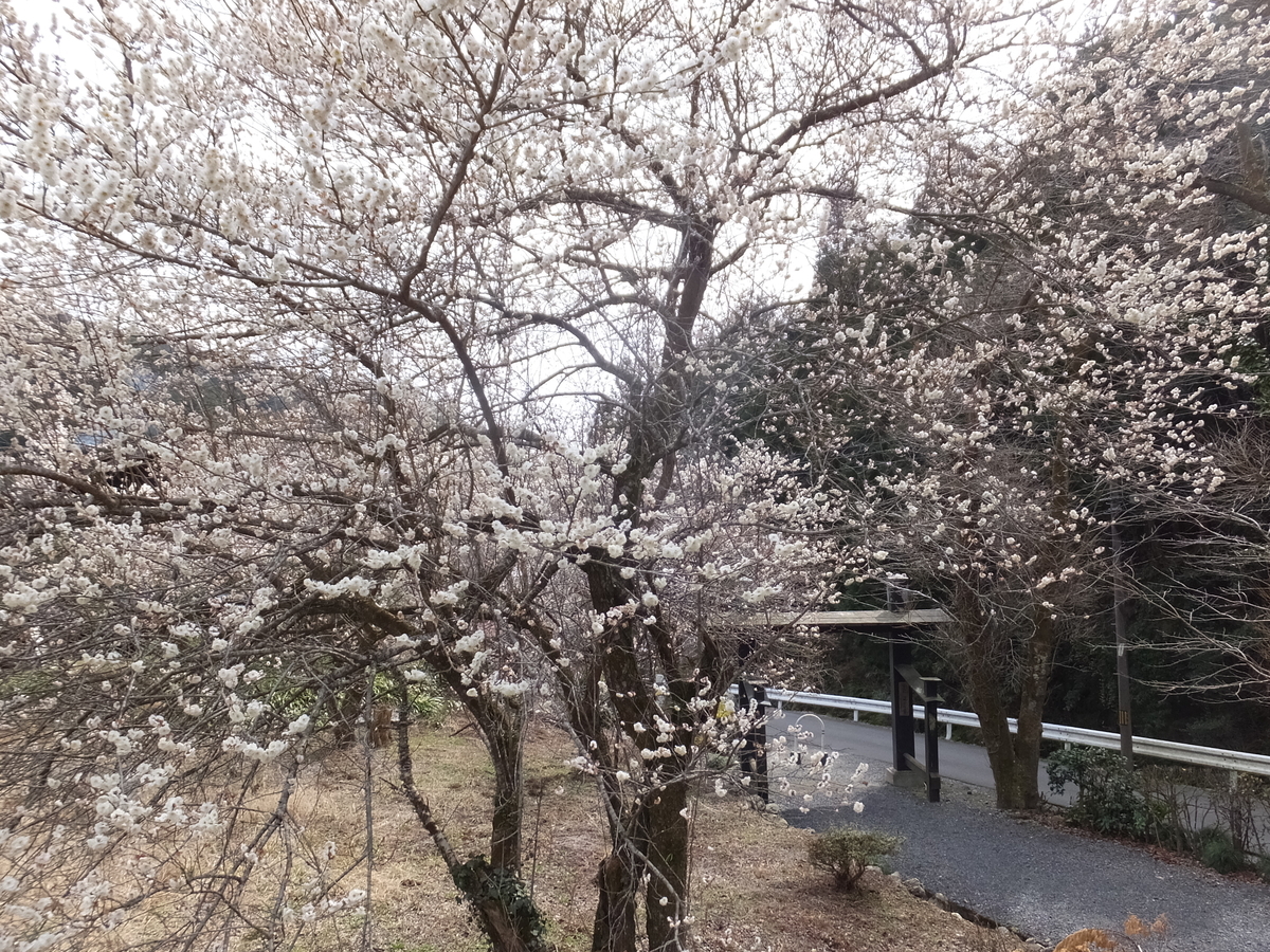f:id:boltbay:20190813011742j:plain