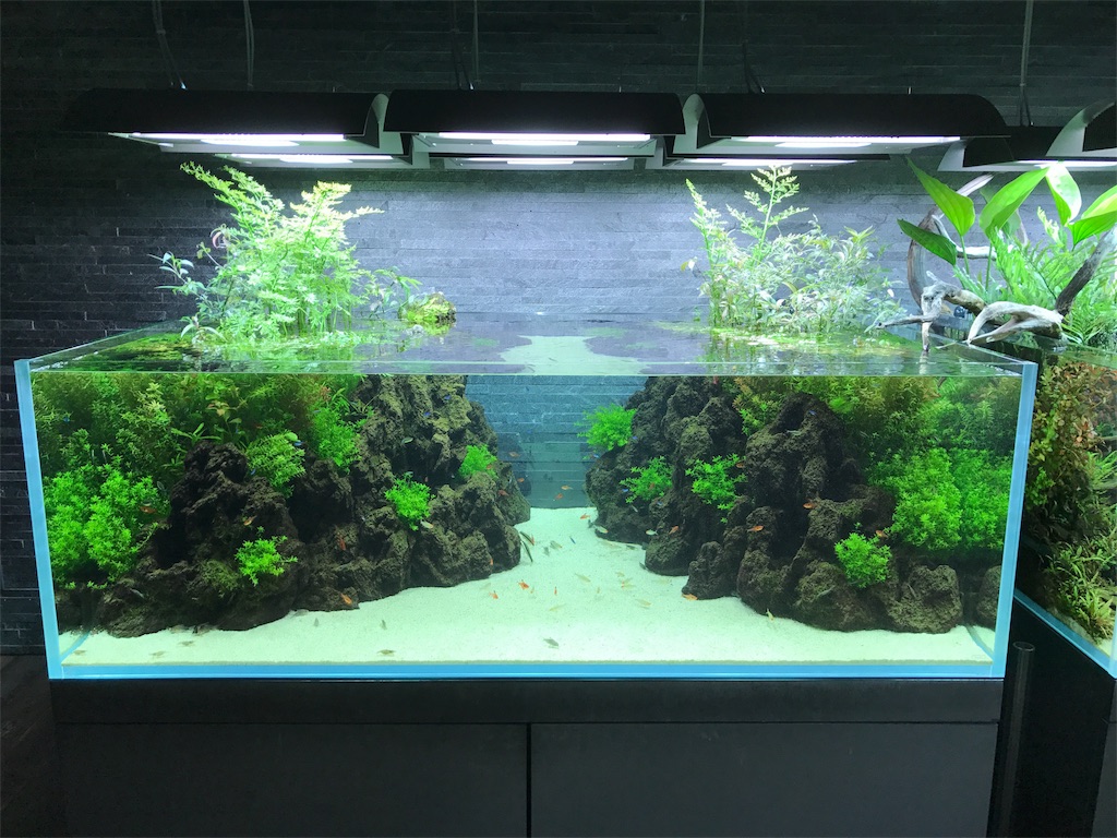 秘境から離れて 東京編 トカイトウミ研究所