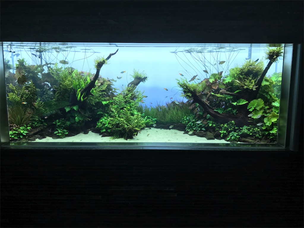 秘境から離れて 東京編 トカイトウミ研究所