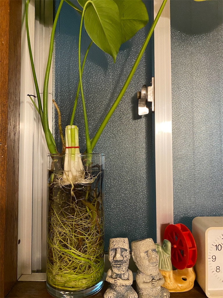 f:id:bom7110:20250518011723j:image