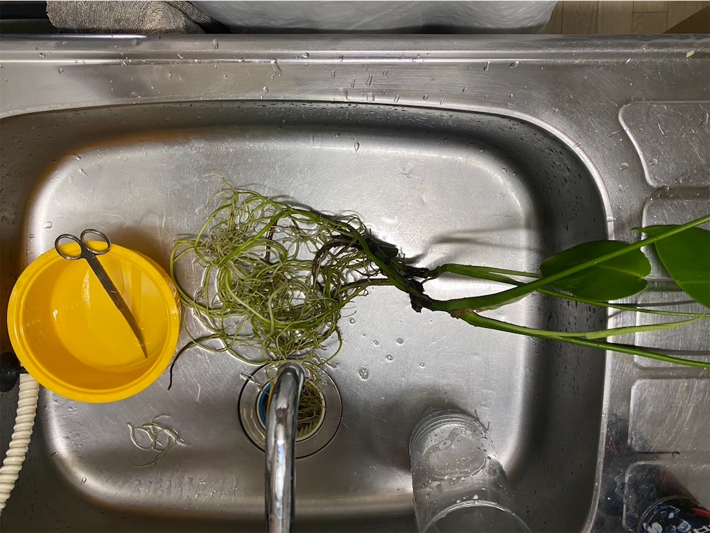 f:id:bom7110:20250704233021j:image