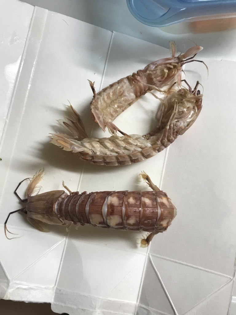 f:id:bom_shibuya:20180515092454j:plain f:id:bom_shibuya:20180515092454j:plain