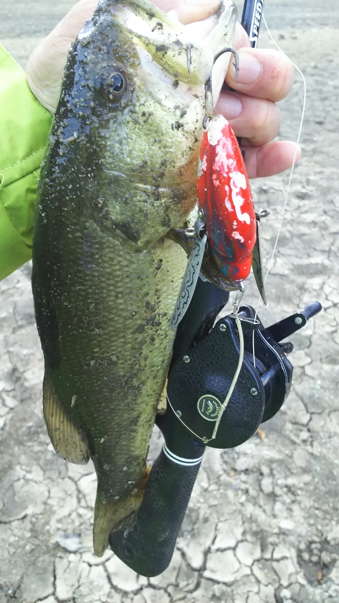 f:id:bomberlures:20191201085301j:plain f:id:bomberlures:20191201085301j:plain