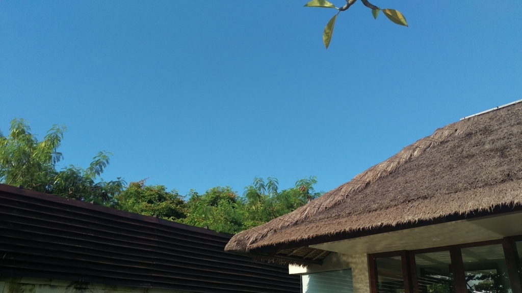 f:id:bomberofmoon:20180215175643j:plain f:id:bomberofmoon:20180215175643j:plain