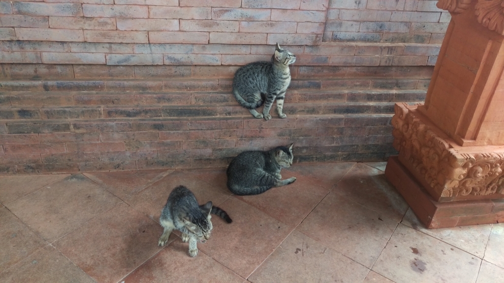 f:id:bomberofmoon:20180215180920j:plain f:id:bomberofmoon:20180215180920j:plain