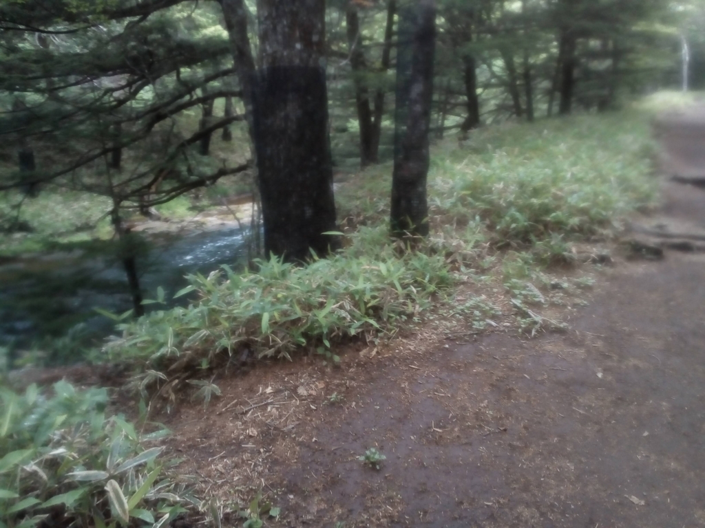 f:id:bomberofmoon:20180718154238j:plain f:id:bomberofmoon:20180718154238j:plain