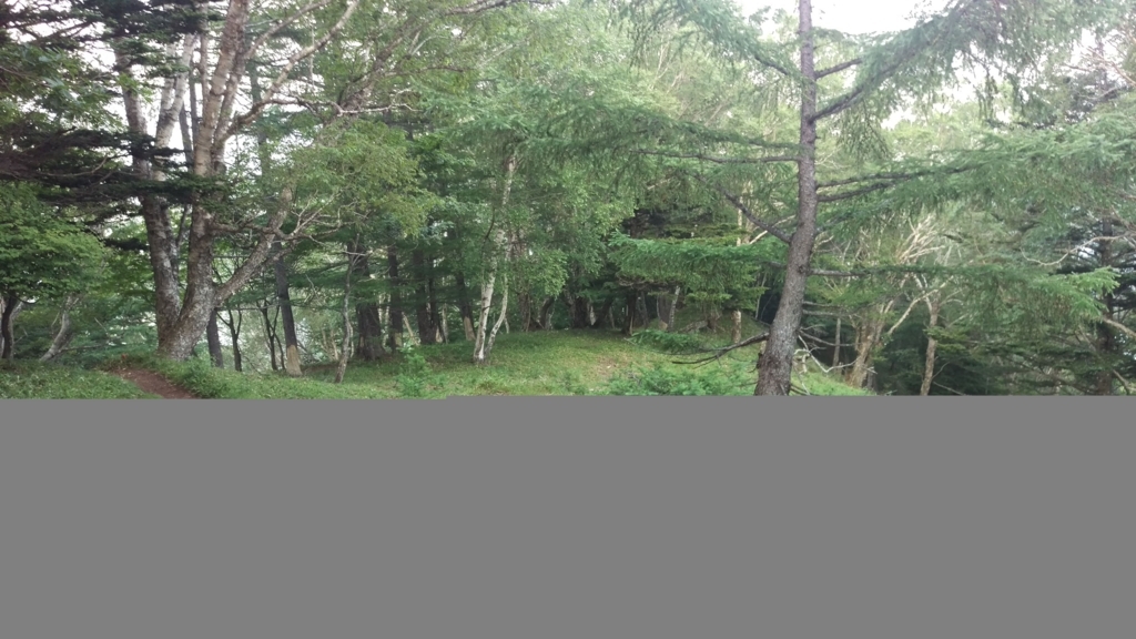 f:id:bomberofmoon:20180718161408j:plain f:id:bomberofmoon:20180718161408j:plain