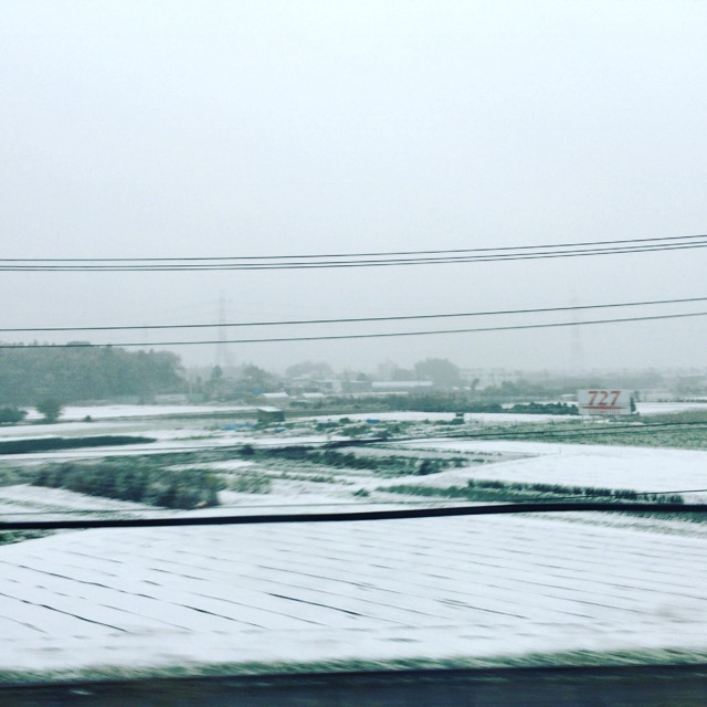 f:id:bon-juice:20161125234402j:plain f:id:bon-juice:20161125234402j:plain