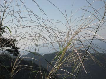 f:id:bon-ku-ra:20101003201104j:image