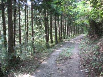 f:id:bon-ku-ra:20101005194211j:image