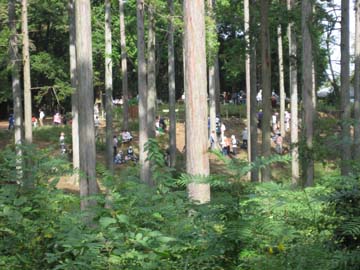 f:id:bon-ku-ra:20101024135004j:image f:id:bon-ku-ra:20101024135004j:image