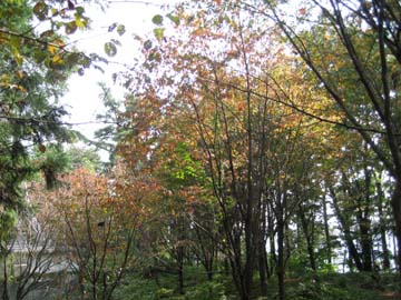 20101103154057
