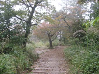 f:id:bon-ku-ra:20101111171119j:image