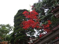 f:id:bon-ku-ra:20101115080214j:image f:id:bon-ku-ra:20101115080214j:image