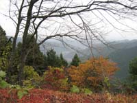 f:id:bon-ku-ra:20101115080217j:image f:id:bon-ku-ra:20101115080217j:image