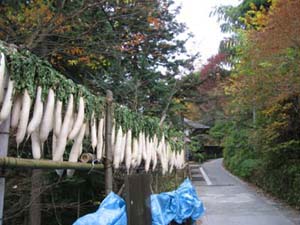 f:id:bon-ku-ra:20101115193644j:image