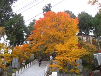 f:id:bon-ku-ra:20101116162207j:image