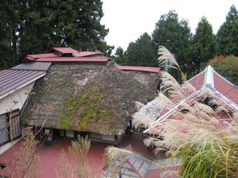 f:id:bon-ku-ra:20101119163326j:image