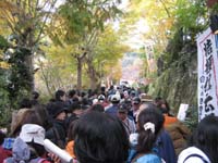 f:id:bon-ku-ra:20101121160405j:image