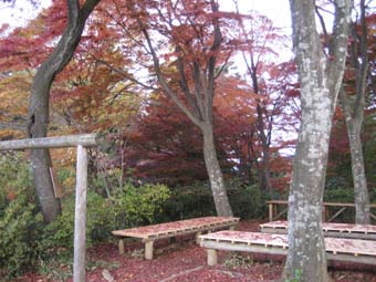 f:id:bon-ku-ra:20101204073805j:image
