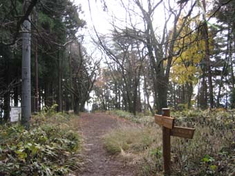 f:id:bon-ku-ra:20101209165041j:image