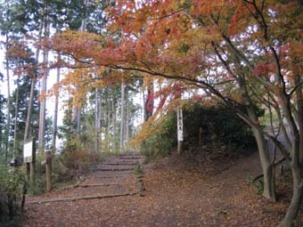 f:id:bon-ku-ra:20101213044420j:image